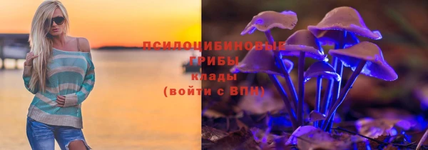 ГАЛЛЮЦИНОГЕННЫЕ ГРИБЫ Абинск