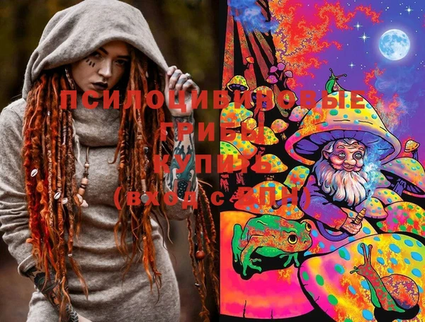 марки lsd Каменногорск