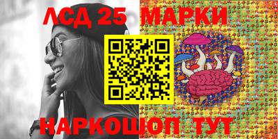 бошки Моздок