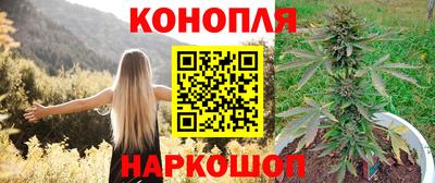 хмурый Можга