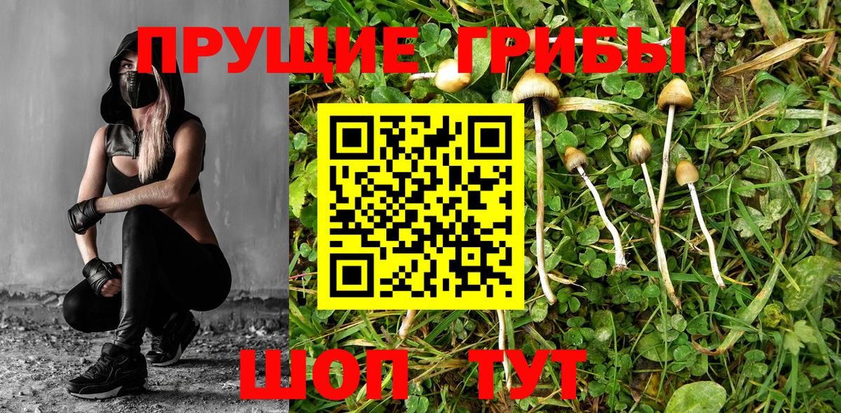 Псилоцибиновые грибы Cubensis  Псилоцибиновые грибы мухоморы  Вход с VPN  Смоленск 